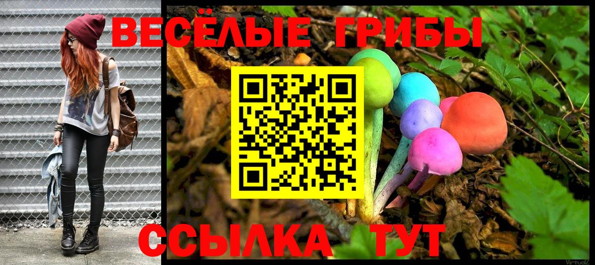 Псилоцибиновые грибы Magic Shrooms  Вход с VPN  Вольск 